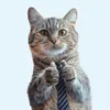 ilikecatsandall