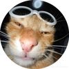imacatlmao1