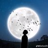 sadlog6644