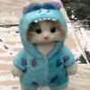 kinwa_333