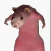 rattyratrat11