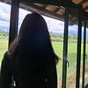nopal_saja0