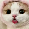 lexy_mae1413