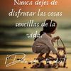 elizeth.silisque