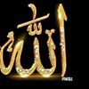 yousf.shgree