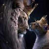 dayanna.navas.de