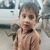 majaankhelafridi