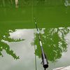 hanip_fishing