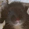 ..poczytamy_