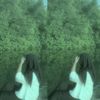 dinirhmtika