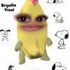 soy_yisel.12