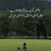 shazia.ch33
