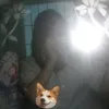 nguynn.dannn
