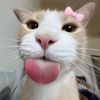 its.rach_2