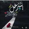 wedad3270698768001
