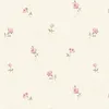 noor_26890