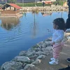 dina.lahhit__