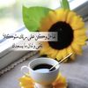 user9190561417405