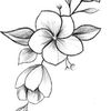 user4695601262884