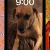 lexi69800