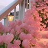 al_rosa_19
