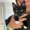 nora_4374
