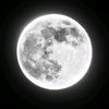 wsf_x_star