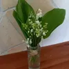 mria.kodk