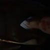 viktoria_isss