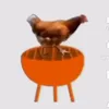 chiken_on_barbecue