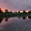 nikolalaa1