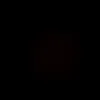 xiomara.colman43