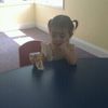carsongrace2