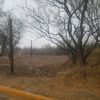 lamonito05
