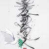 i.lc.li45