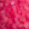 maysouuu2
