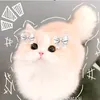 kim_24_7