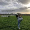 abcdxy104
