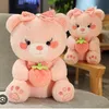 teddy24944