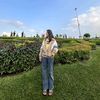 may.yatioo
