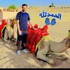 seengar.ali19