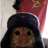 felix12xxx