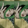 ewekk_ajaa