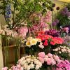 .accounts.12