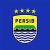 muhammad.aldy41