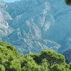izabelakantorska