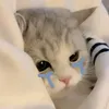 cuc.bo0