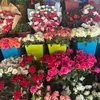 mariakalevankatu20gmail1