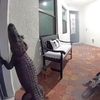 dilly_445