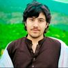 hassan.raza3394